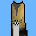 kimi_biz