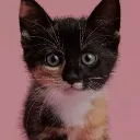 Shabby's Avatar