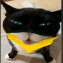 terrapls