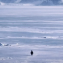 avatar DaRealAites@m