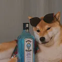 limongsg