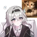 tenatq