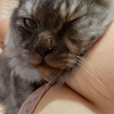 avatar 𝓜𝓸𝓶𝓶𝔂 𝓜𝓲𝓷𝓽𝔂