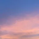 insideanoyster