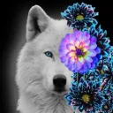 crypticw91f
