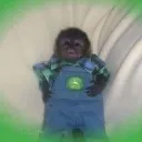 shitimchimpin2881