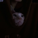 avatar ✿ Killionare