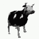 thekingofindia's Avatar