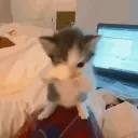 itsmeadv