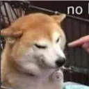 da_wasabae