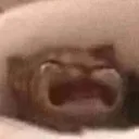 raxxylagidong avatar