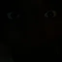fddx