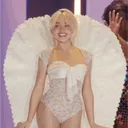 paigeronis