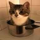 ethylenediaminetetraacetat3