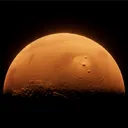 tholus1952
