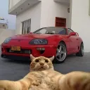 batus1998 avatar