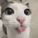 a4r0n0_o avatar