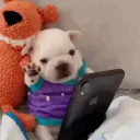 beaisonline