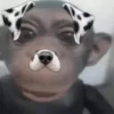 manoelzx._