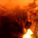 jasper_universe
