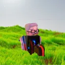 thechillguy1_