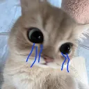 bearerofthecurse_0