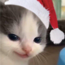 avatar Ninakiangels🌺