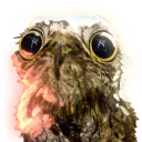 fimp1