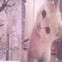 avatar 🌸𝑎𝑛𝑔𝑒𝑙