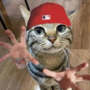 avatar 𝒜𝓃𝒿𝒶𝓁𝒾 your stepsis