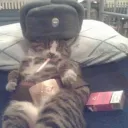 ᲼᲼᲼᲼᲼᲼᲼᲼᲼᲼