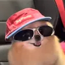 apeshi
