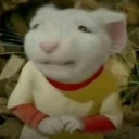 avatar ☾♡phee♡☽