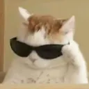 mudwzy