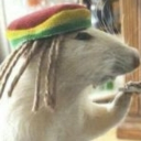 avatar Emperor D. Slayer