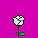 _jungsnn