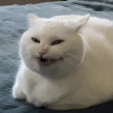 avatar JhaydenKnight