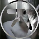 illojuanbot