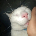 avatar burningskittles