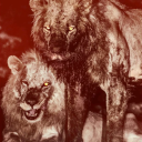 avatar hayat cesurları sever