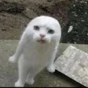 miarrr0326