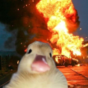 avatar Dalalalalalalal