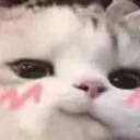 xellion_