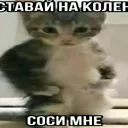 hoyname