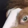 j-