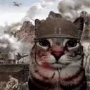 notwarcat