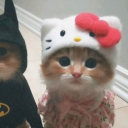 avatar 𝐦𝐢𝐚°❀.ೃ࿔*