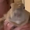 tr_p0ker