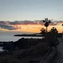 hallo1232137