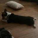 vpys